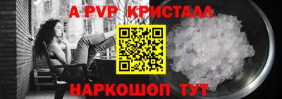 герыч Кингисепп